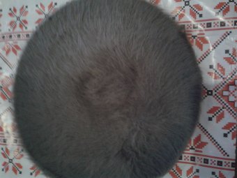 Bereta Gri Angora