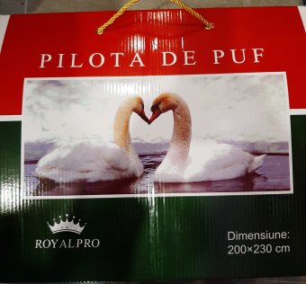 Pilota cu Puf Gâscă  pentru 2 persoane 