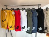 Pantaloni din in